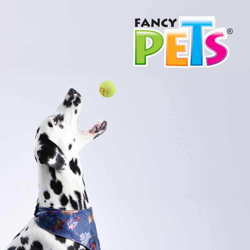 JUGUETE PELOTA CH DE TENIS C/SQUEAKER - 3 PZ
FL7154