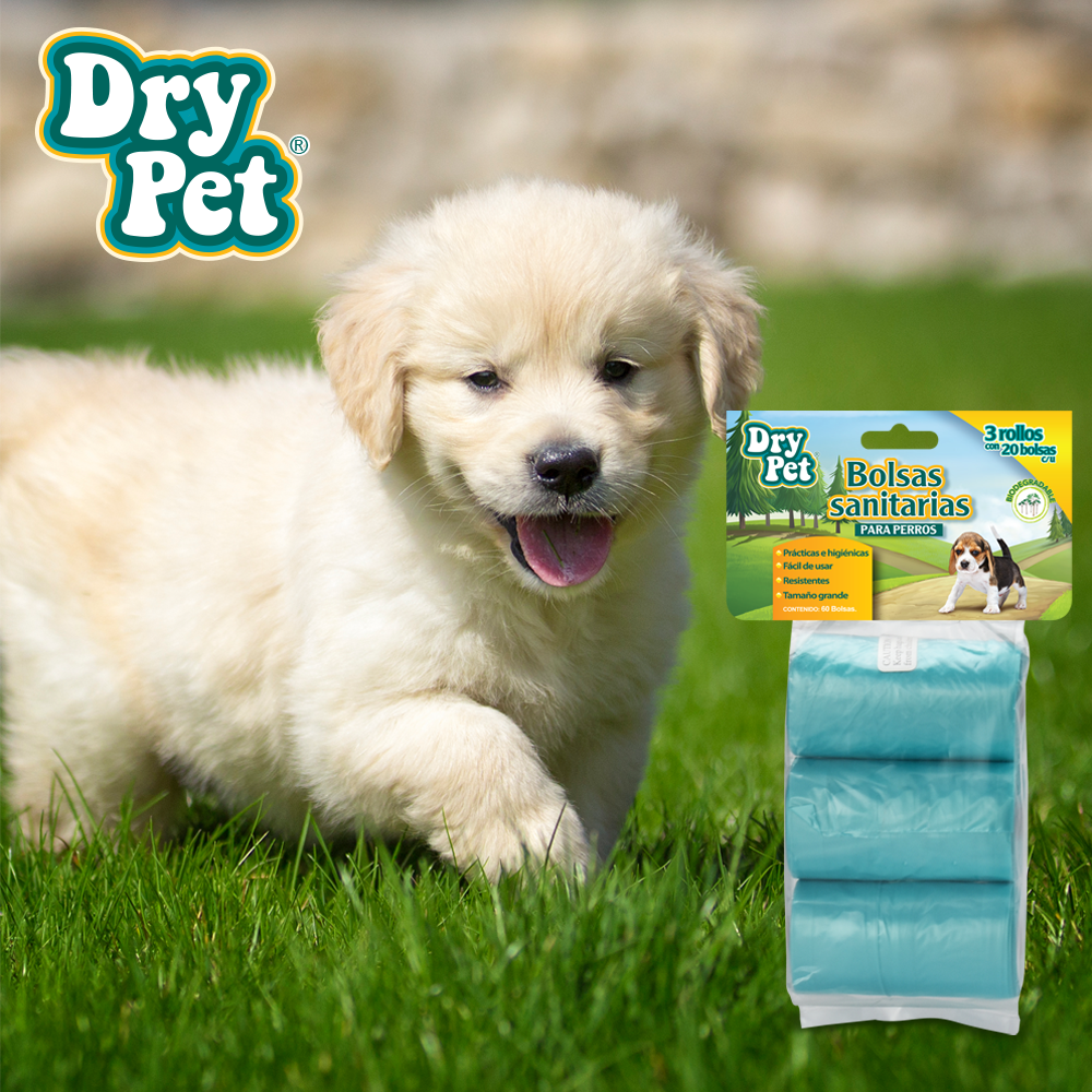 BOLSAS SANITARIAS (3 ROLLOS) DRY PET - 60 PZ
FL7164
