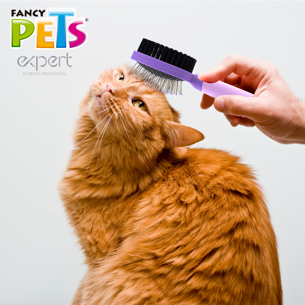 CEPILLO DOBLE P/GATO EXPERT FL8330