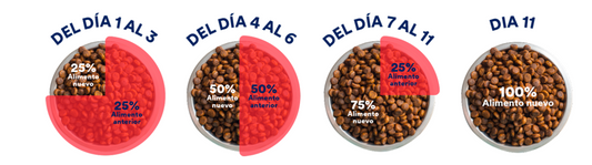 Cambiar el alimento de tu mascota