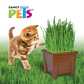 PASTO P/GATOS

FL3916