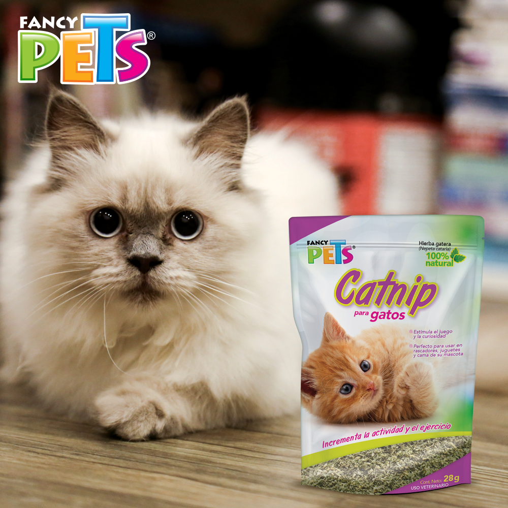 CATNIP P/GATOS 28 G

FL3922