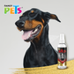COLONIA WILD 125 ML

FL3940