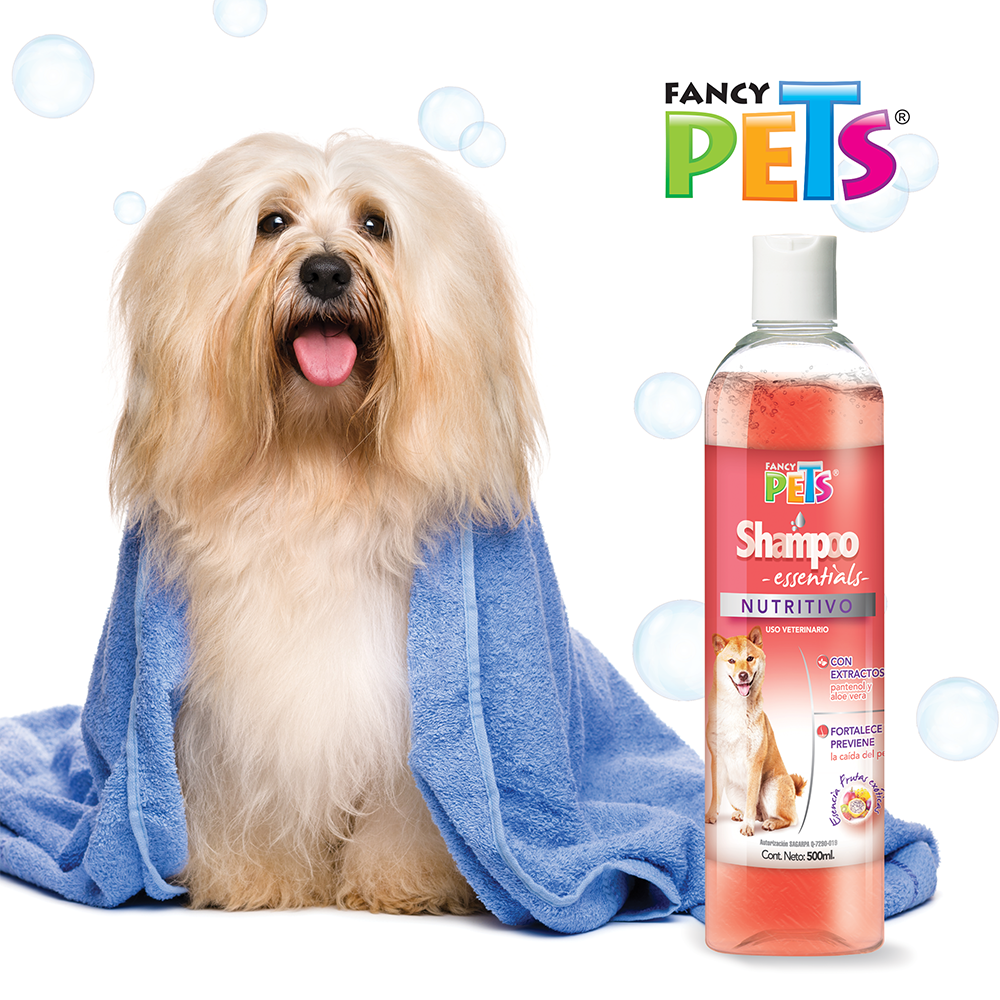 SHAMPOO NUTRITIVO ESSENTIALS 500 ML

FL3975