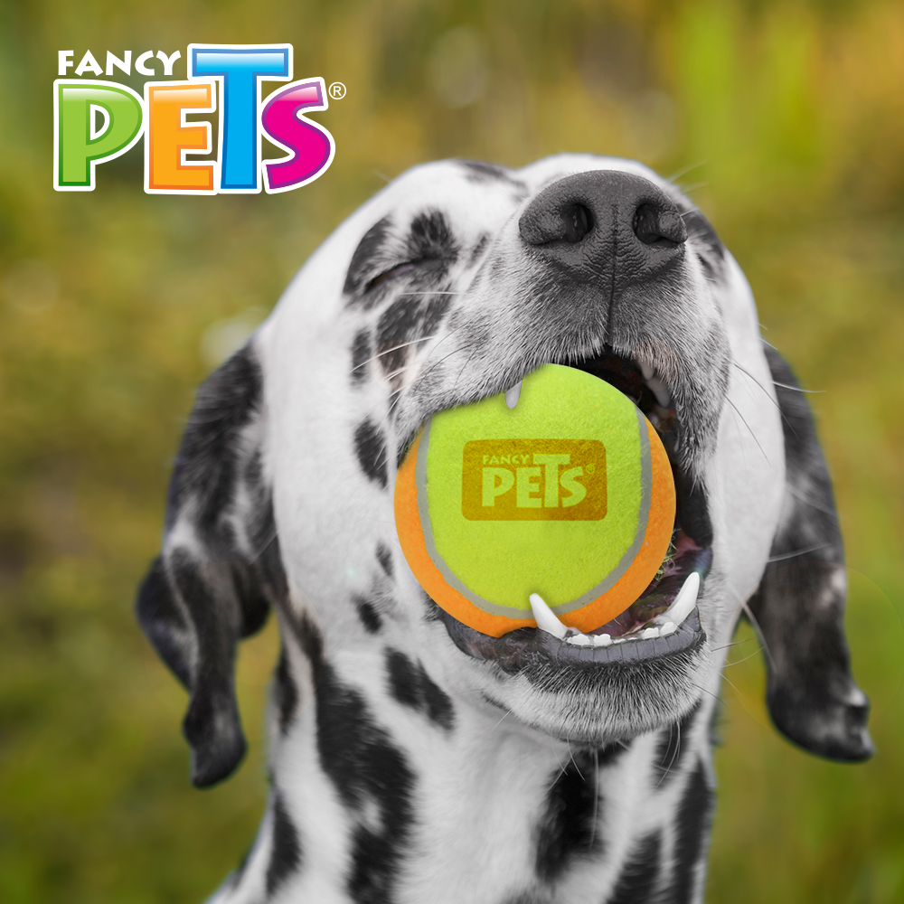 Pelota chica de tenis con sonido. Juguete clásico para lanzar, atrapar e interactuar por horas. El sonido que emite la pelota al presionarla, es el factor sorpresa que le encantará a tu perro.