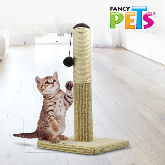POSTE RASCADOR P/GATO 55 CM

FL8450